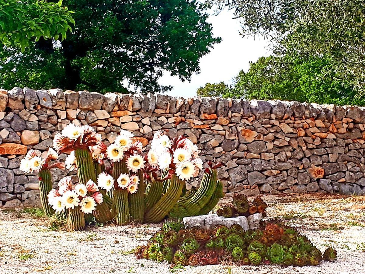 Casa Relax Isabelle Alberobello Exterior foto